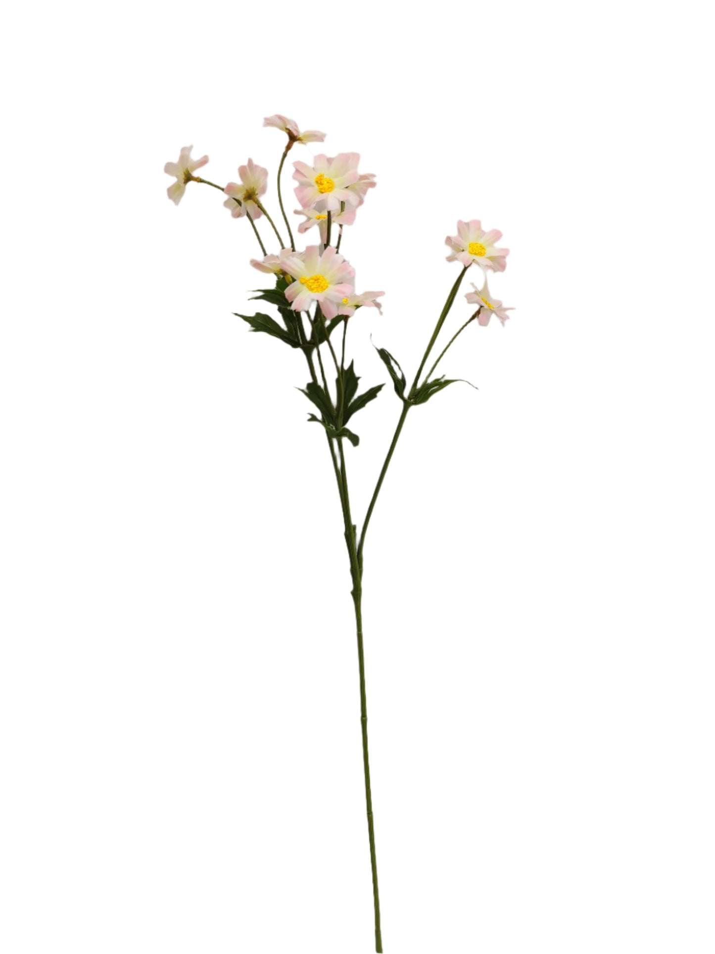 FL13412 CHRYSANTHEMUM SPRAY (NAT)