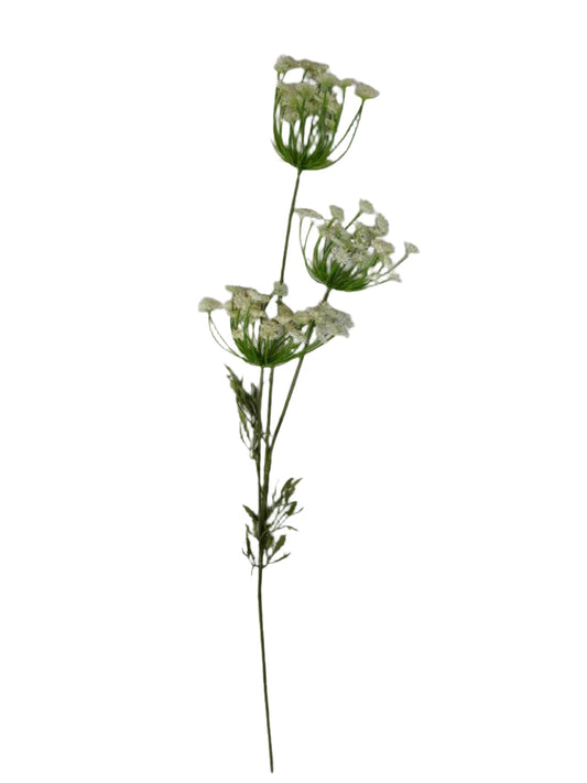 FL13421 QUEEN ANNE'S LACE SPRAY 38"