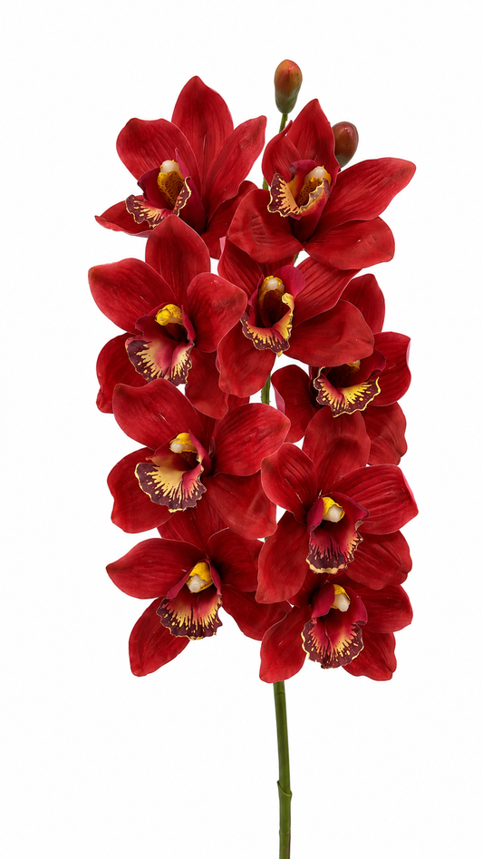 FL13501 CYMBIDIUM SPRAYx9F 33"