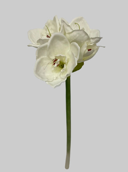 FL13503 AMARYLLIS SPRAYx3F1B 24"