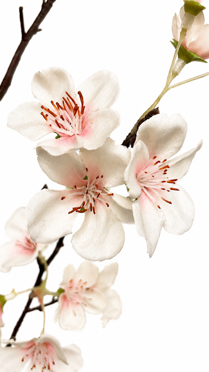 FL13522 PEACH BLOSSOM SPRAYx3 59"