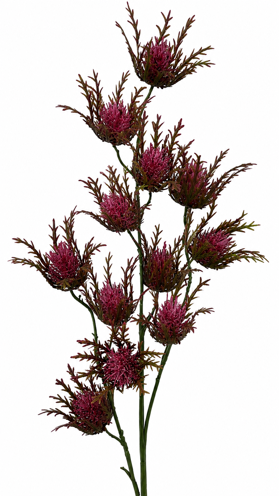 FL13526 SEA HOLLY SPRAYx3 28"