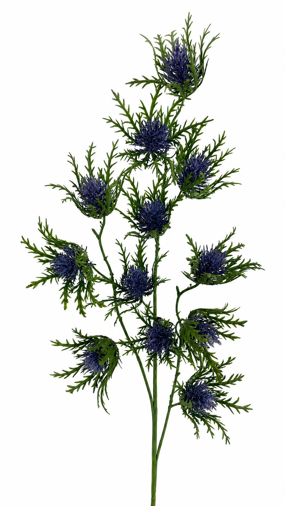 FL13526 SEA HOLLY SPRAYx3 28"
