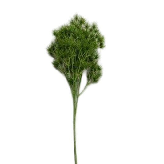 FL13544 GLOBE THISTLE SPRAY 27"