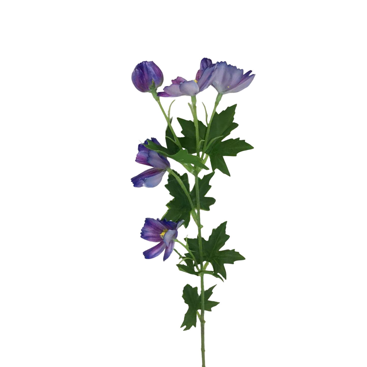FL13592 MINI COSMOS SPRAY (NAT) 21"