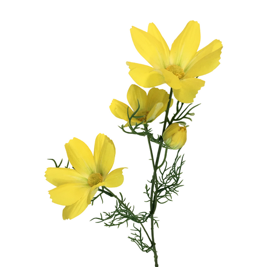 FL13593 COSMOS SPRAY (NAT) 28"