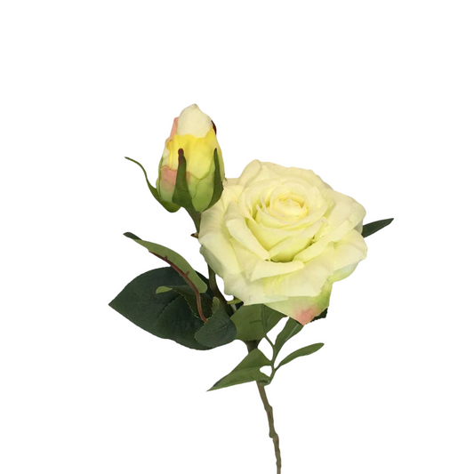 FL13595 ROSE SPRAYx1F1B (NAT) 19"