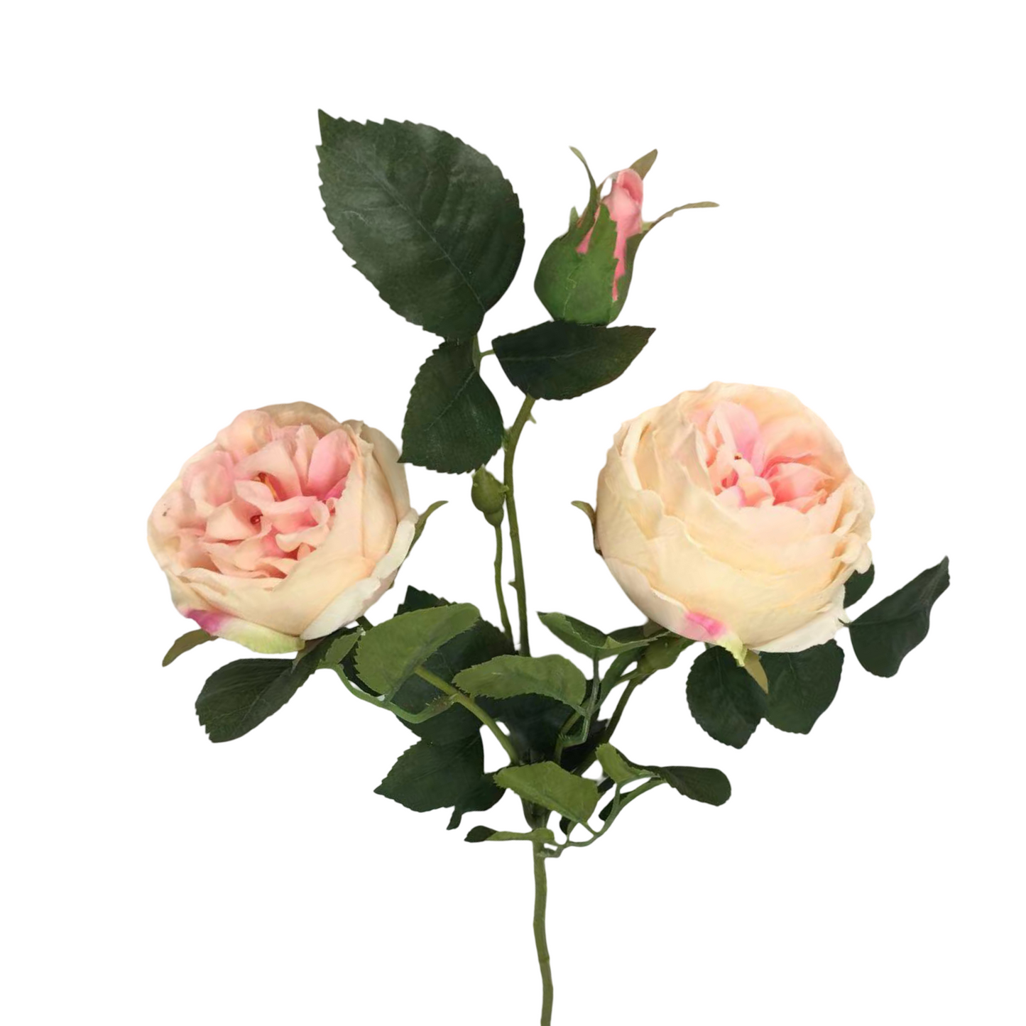 FL13596 TEA ROSE SPRAY (NAT) 24.5"