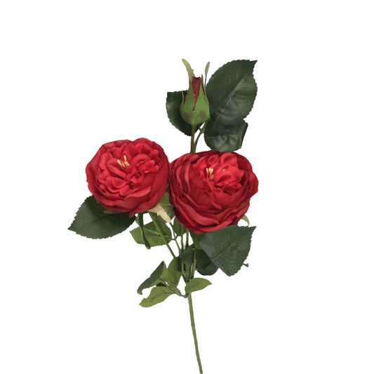 FL13596 TEA ROSE SPRAY (NAT) 24.5"