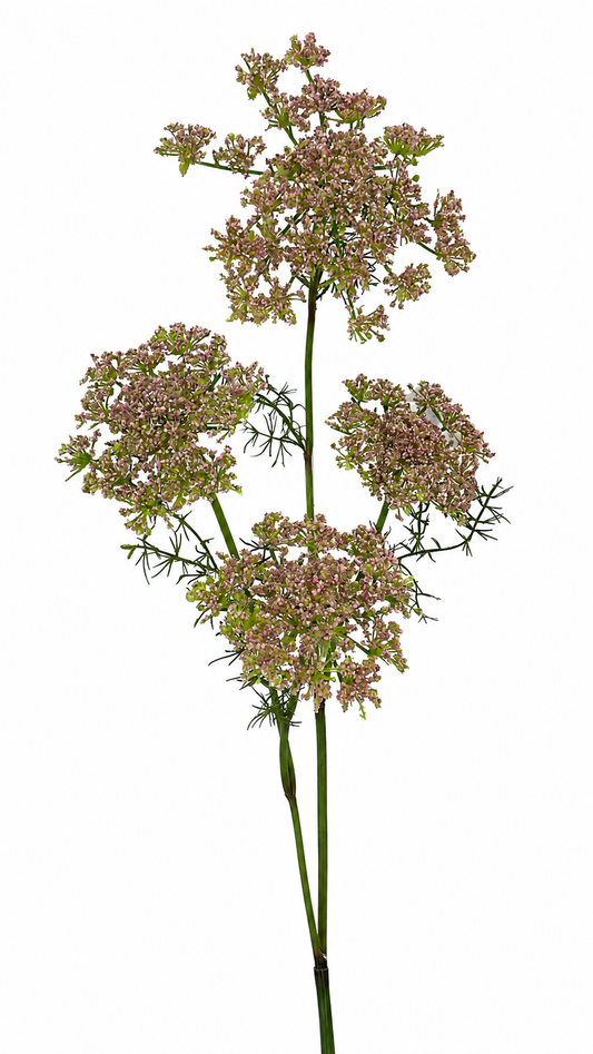 FL13603 QUEEN ANN LACE SPRAYx4 45"