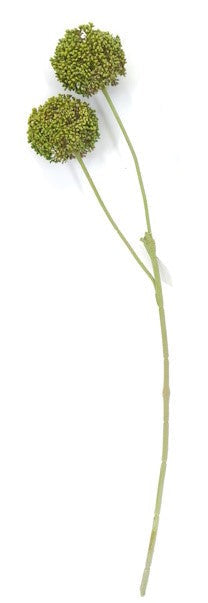 FL13632 ALLIUM SPRAYx2,26"