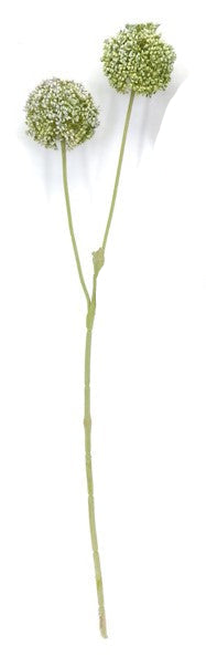 FL13632 ALLIUM SPRAYx2,26"