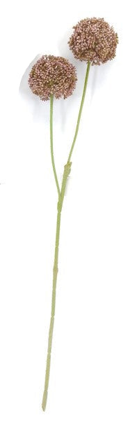 FL13632 ALLIUM SPRAYx2,26"