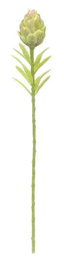 FL13633 ARTICHOKE SPRAY,22"