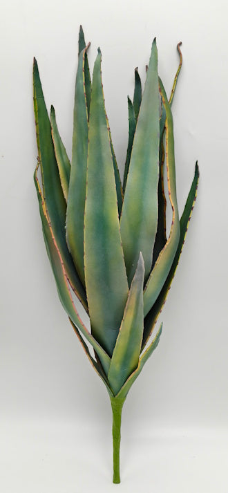 FL13634 EVA AGAVE PLANTS,26"