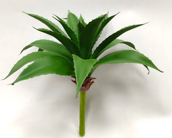 FL13638 AGAVE,10"