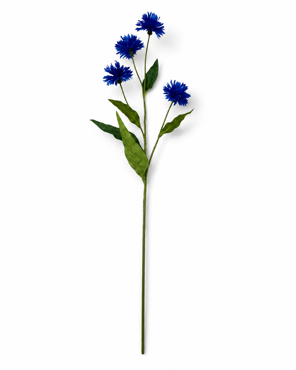 FL13708 CORN FLOWER SPRAY  32.5"