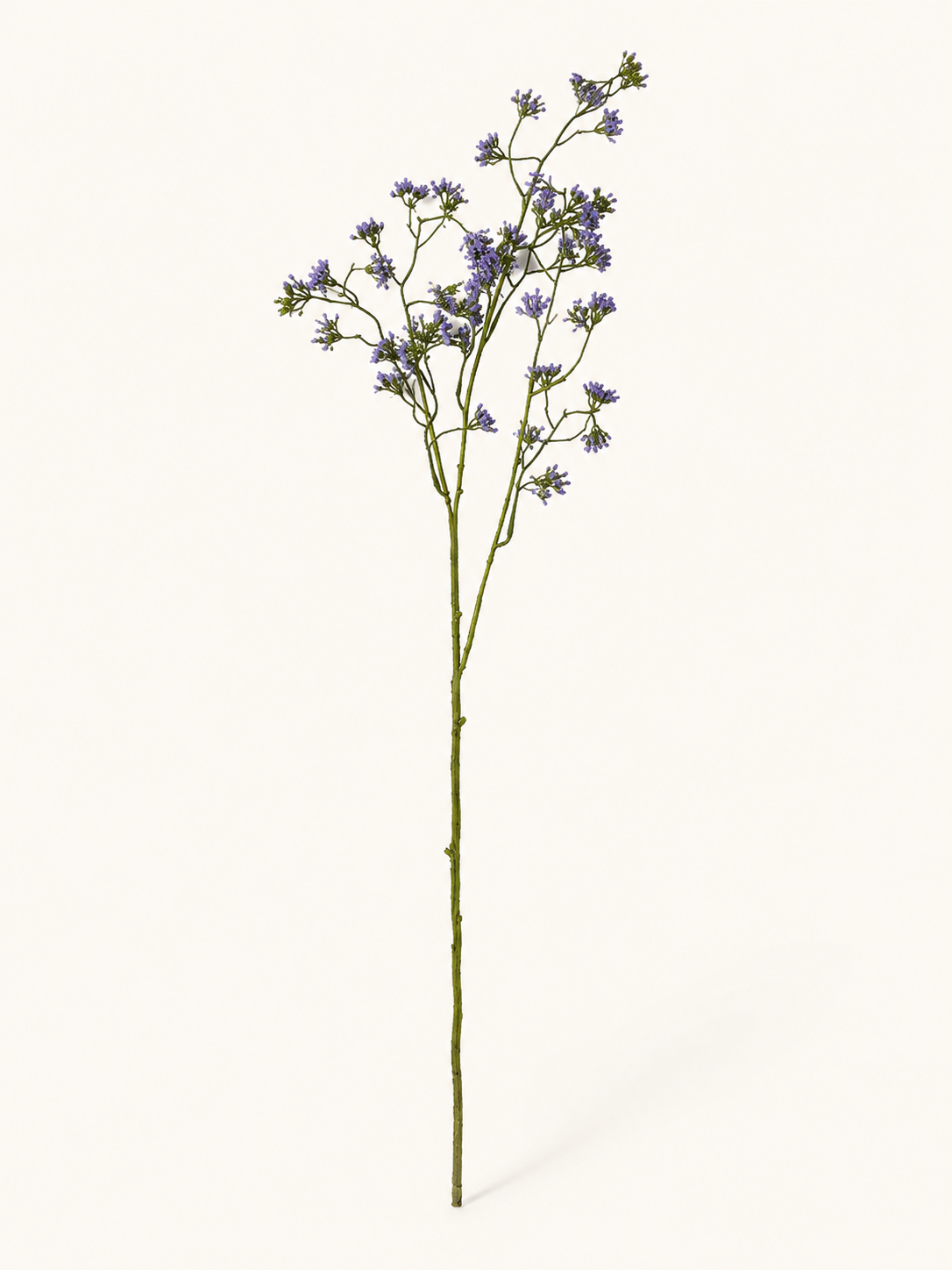 FL13709 VERBENA SPRAY  37.5"
