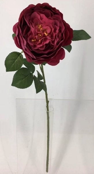 FL13732 DAVID AUSTIN ROSE (NAT),26"