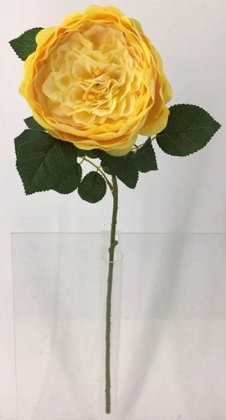 FL13732 DAVID AUSTIN ROSE (NAT),26"