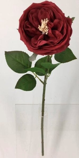 FL13733 DAVID AUSTIN ROSE (NAT),20"