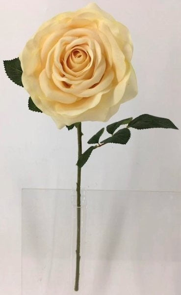 FL13734 OPEN ROSE (NAT),22"