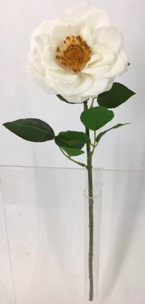 FL13735 HYBRID TEA ROSE (NAT),23"