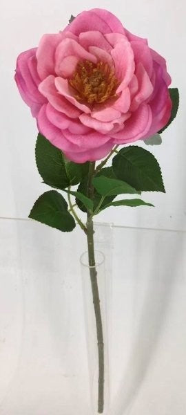 FL13735 HYBRID TEA ROSE (NAT),23"