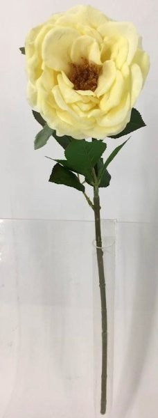 FL13735 HYBRID TEA ROSE (NAT),23"