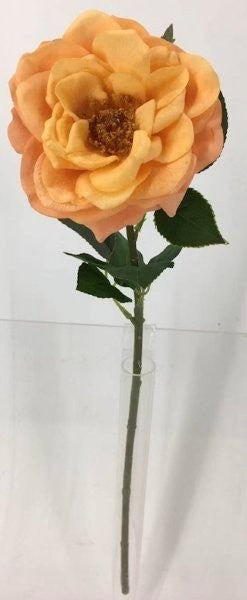 FL13735 HYBRID TEA ROSE (NAT),23"