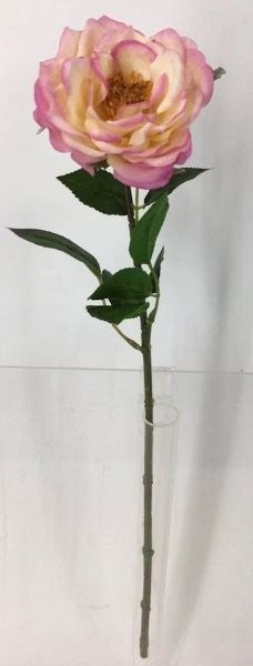 FL13735 HYBRID TEA ROSE (NAT),23"