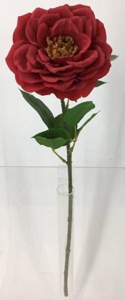 FL13735 HYBRID TEA ROSE (NAT),23"