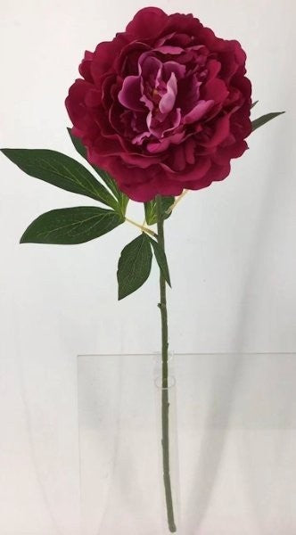 FL13737 PEONY SPRAY (NAT),30"