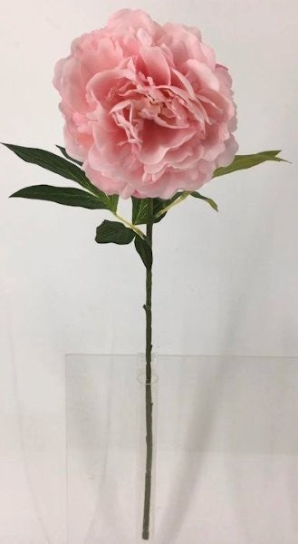 FL13737 PEONY SPRAY (NAT),30"