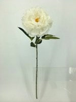 FL13737 PEONY SPRAY (NAT),30"