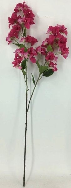 FL13739 BOUGAINVILLEA SPRAYx2,42"