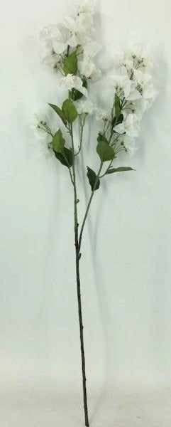 FL13739 BOUGAINVILLEA SPRAYx2,42"