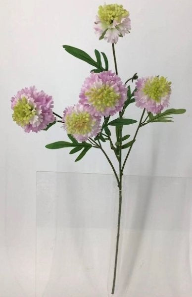 FL13740 SCABIOSA SPRAYx5F (NAT),28"
