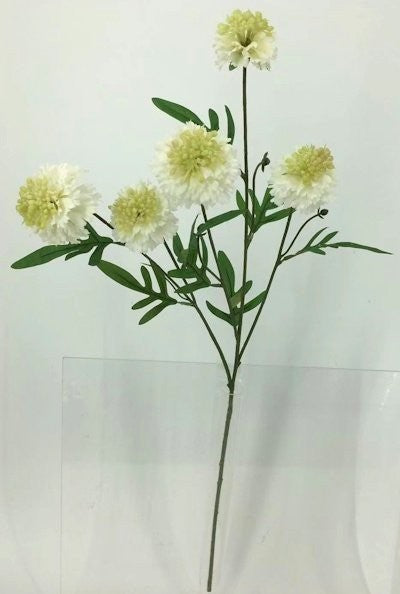 FL13740 SCABIOSA SPRAYx5F (NAT),28"