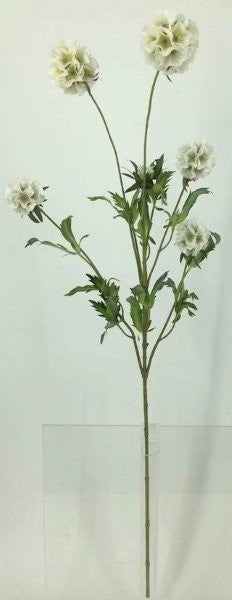 FL13741 SCABIOSA PODS SPRAYx5,38"