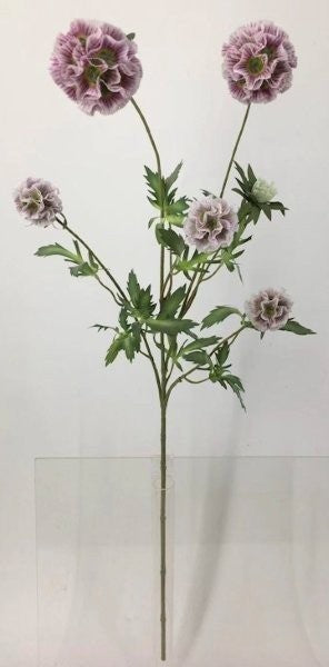 FL13741 SCABIOSA PODS SPRAYx5,38"