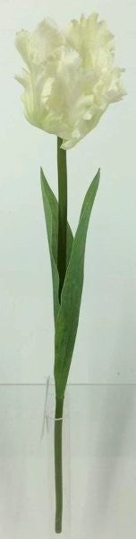 FL13744 PARROT TULIP,26"