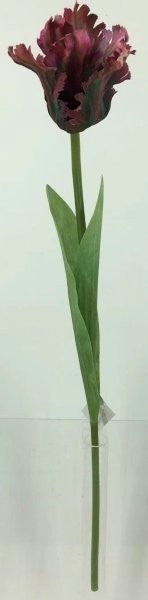 FL13744 PARROT TULIP,26"