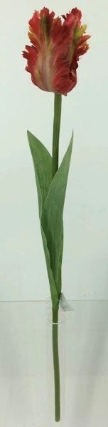 FL13744 PARROT TULIP,26"