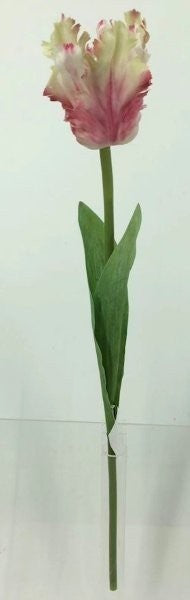FL13744 PARROT TULIP,26"
