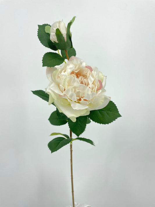 FL13751 ROSE SPRAYx2F 27"