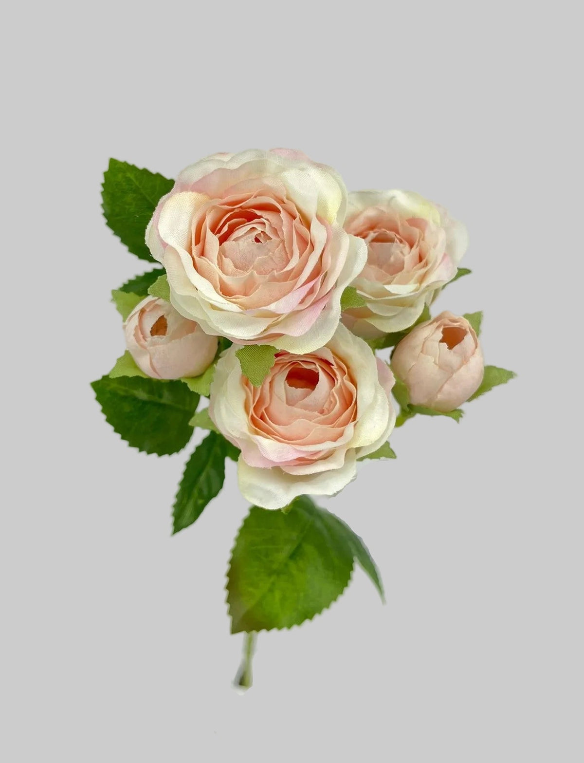FL13752 MINI ROSE SPRAYx5F 25"
