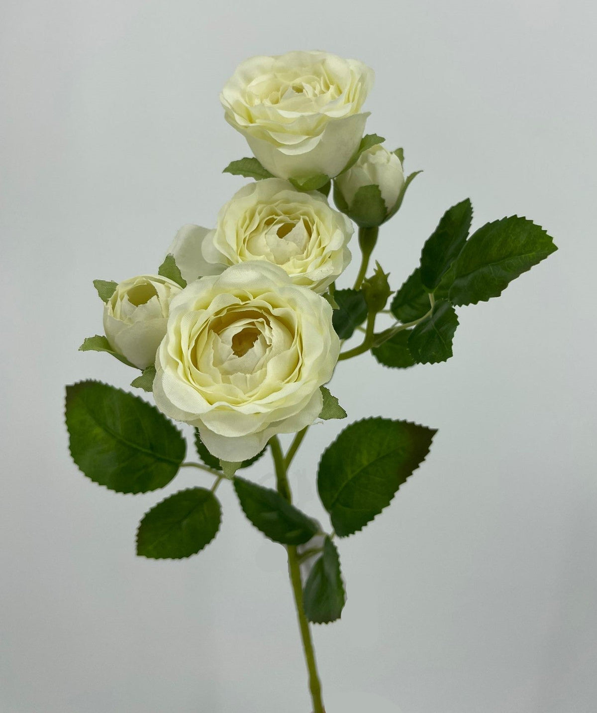 FL13752 MINI ROSE SPRAYx5F 25"