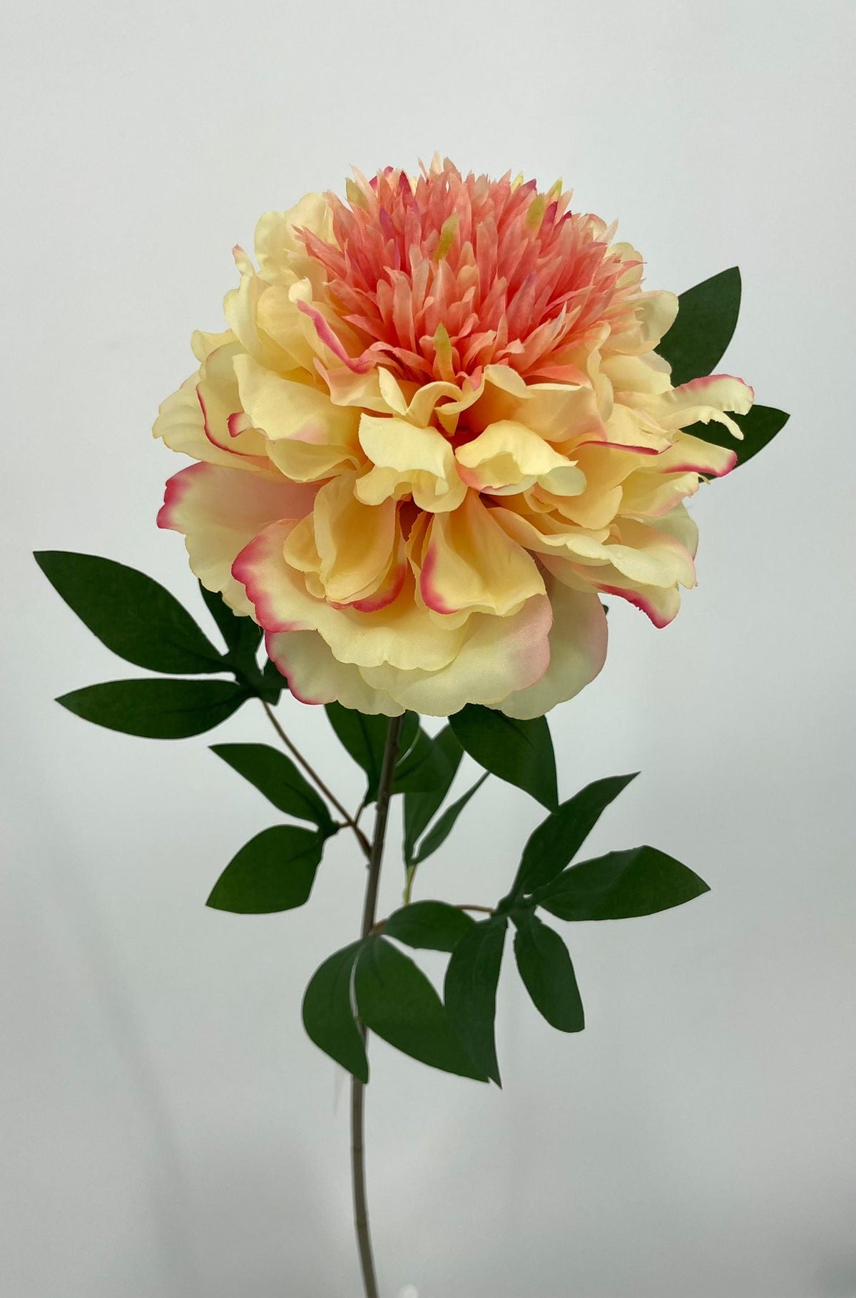 FL13753 PEONY SPRAY 31"