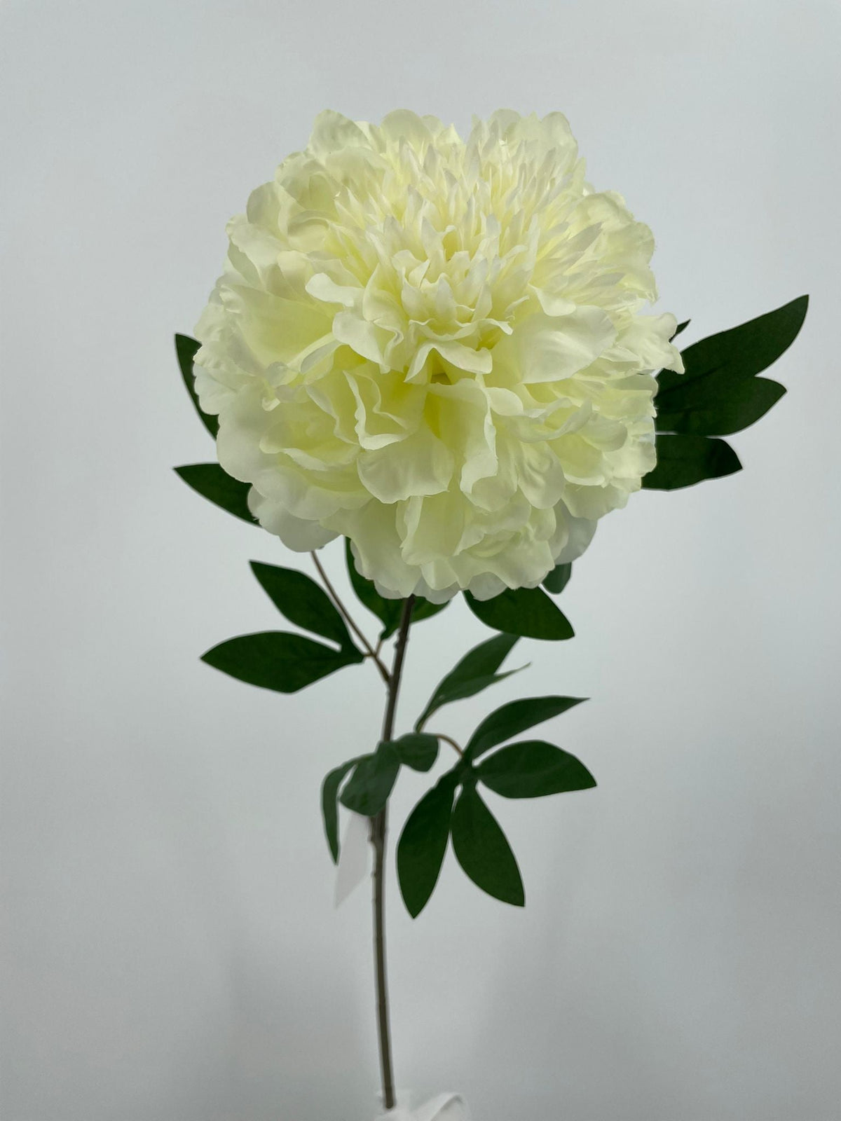 FL13753 PEONY SPRAY 31"